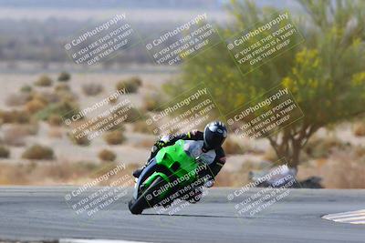 media/Apr-10-2022-SoCal Trackdays (Sun) [[f104b12566]]/Turn 5 Tree of Life (1040am)/